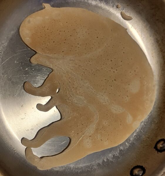 Bestand:WhatsApp Image 2026-01-25 at 13.40.25.jpg